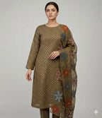 Organza Pani Sheesha Work Suit with Dupatta