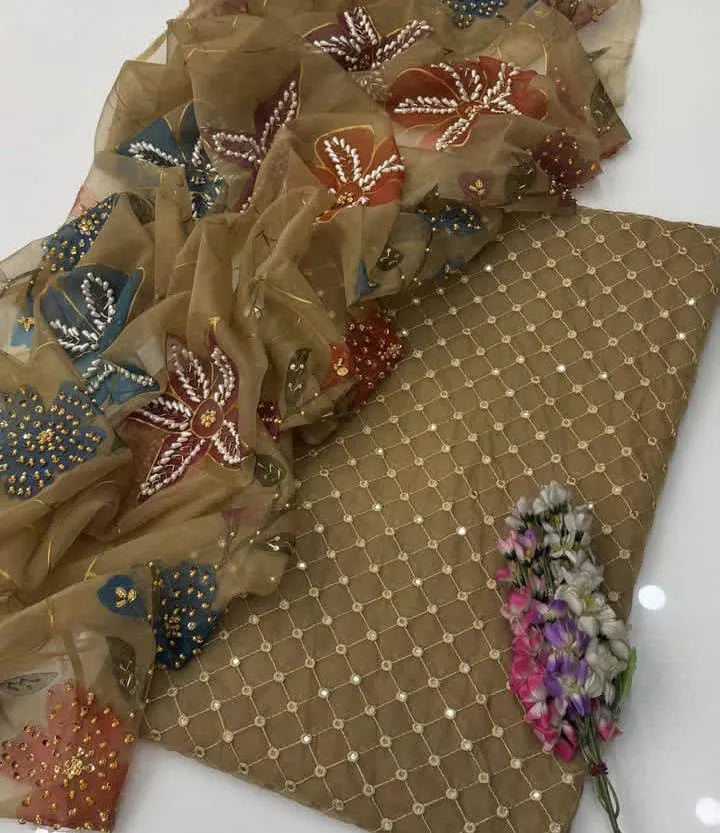 Soft Organza Pani Sheesha Work Suit with Dupatta